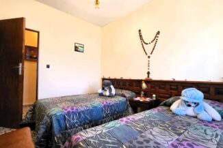 CHALET CON PARCELA EN LA CAÑADA (ÁVILA) 05294 88