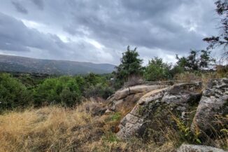 PARCELA EN SANTA CRUZ DE PINARES