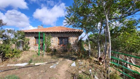 FINCA RÚSTICA EN BRIEVA (ÁVILA) 82