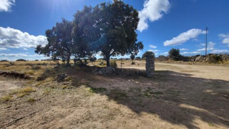 FINCA RÚSTICA EN BRIEVA (ÁVILA) 81