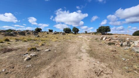 FINCA RÚSTICA EN BRIEVA (ÁVILA) 78