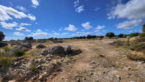 FINCA RÚSTICA EN BRIEVA (ÁVILA) 74