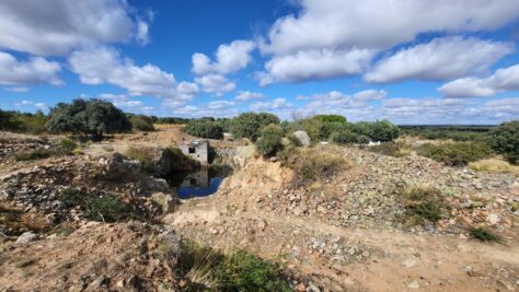 FINCA RÚSTICA EN BRIEVA (ÁVILA) 70